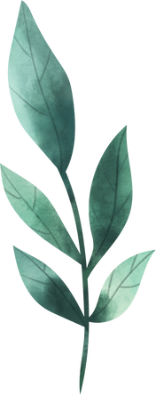 Watercolor Leaf Object 